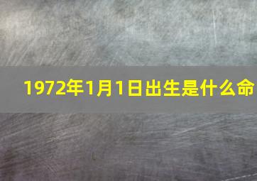 1972年1月1日出生是什么命