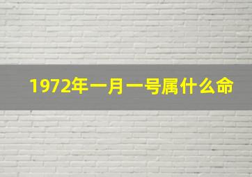 1972年一月一号属什么命