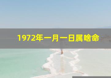 1972年一月一日属啥命