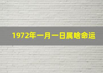 1972年一月一日属啥命运