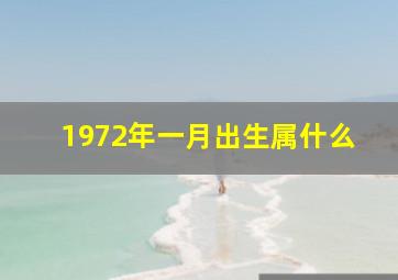 1972年一月出生属什么