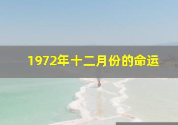 1972年十二月份的命运