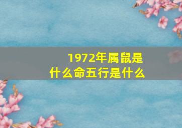 1972年属鼠是什么命五行是什么