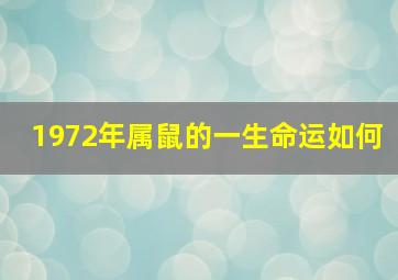 1972年属鼠的一生命运如何