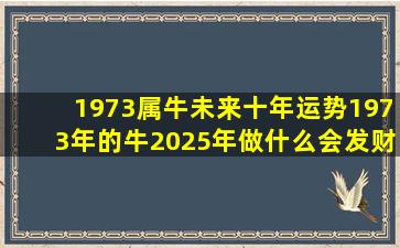 1973属牛未来十年运势1973年的牛2025年做什么会发财