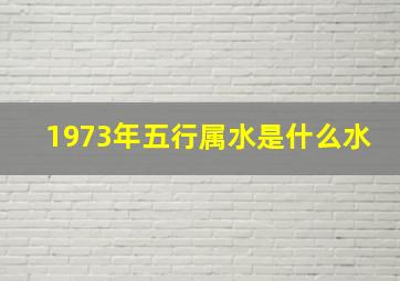 1973年五行属水是什么水