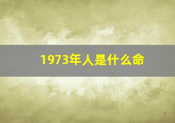 1973年人是什么命