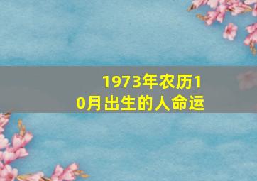 1973年农历10月出生的人命运