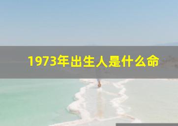 1973年出生人是什么命