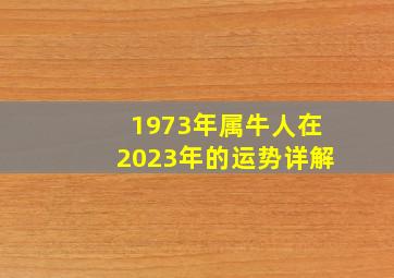 1973年属牛人在2023年的运势详解