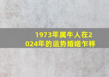 1973年属牛人在2024年的运势婚姻乍样