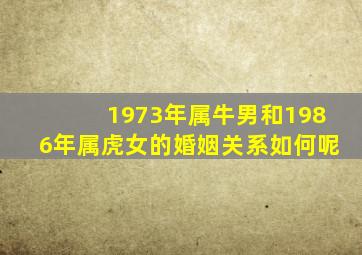 1973年属牛男和1986年属虎女的婚姻关系如何呢