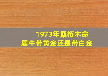 1973年桑柘木命属牛带黄金还是带白金