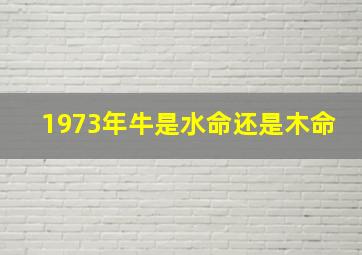 1973年牛是水命还是木命