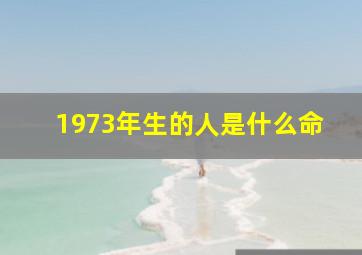 1973年生的人是什么命