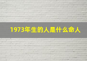 1973年生的人是什么命人