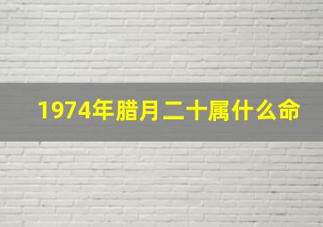 1974年腊月二十属什么命