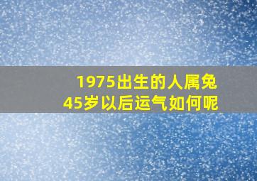 1975出生的人属兔45岁以后运气如何呢