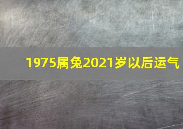 1975属兔2021岁以后运气