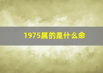 1975属的是什么命