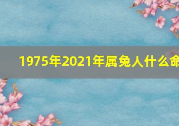 1975年2021年属兔人什么命