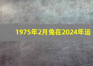 1975年2月兔在2024年运