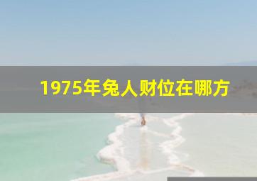 1975年兔人财位在哪方