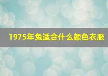 1975年兔适合什么颜色衣服