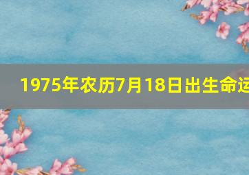 1975年农历7月18日出生命运