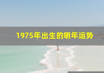 1975年出生的明年运势