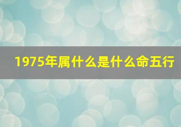 1975年属什么是什么命五行