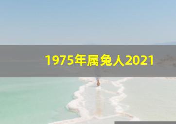 1975年属兔人2021