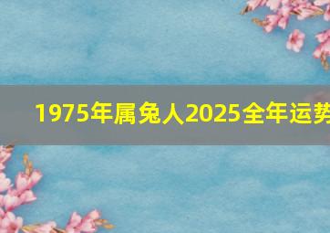 1975年属兔人2025全年运势