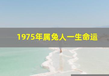 1975年属兔人一生命运