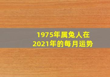 1975年属兔人在2021年的每月运势