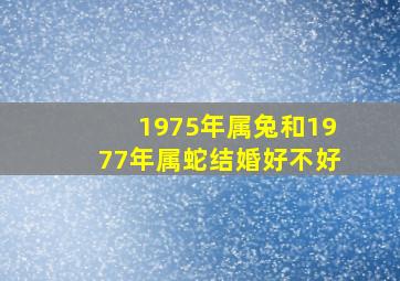 1975年属兔和1977年属蛇结婚好不好