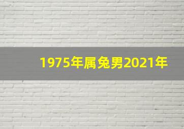 1975年属兔男2021年