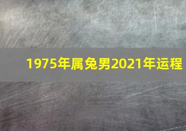 1975年属兔男2021年运程