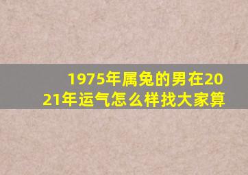 1975年属兔的男在2021年运气怎么样找大家算