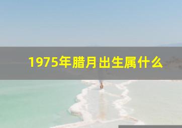 1975年腊月出生属什么