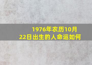 1976年农历10月22日出生的人命运如何