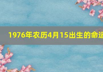 1976年农历4月15出生的命运