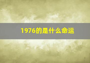 1976的是什么命运