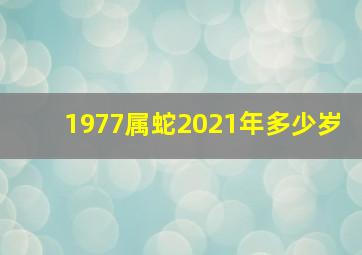 1977属蛇2021年多少岁