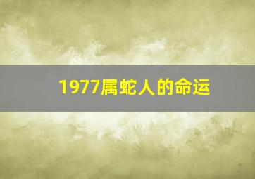 1977属蛇人的命运