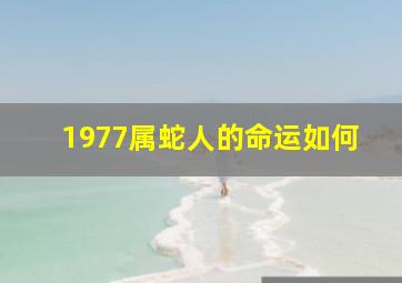 1977属蛇人的命运如何