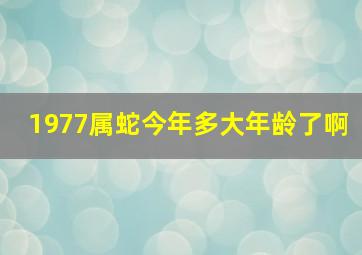 1977属蛇今年多大年龄了啊