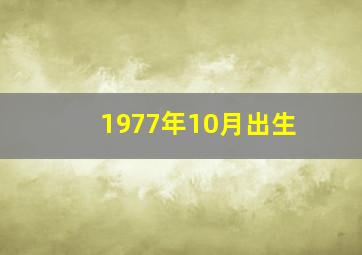 1977年10月出生