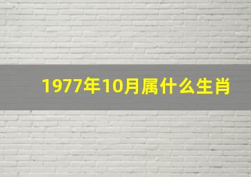 1977年10月属什么生肖