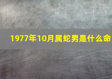 1977年10月属蛇男是什么命